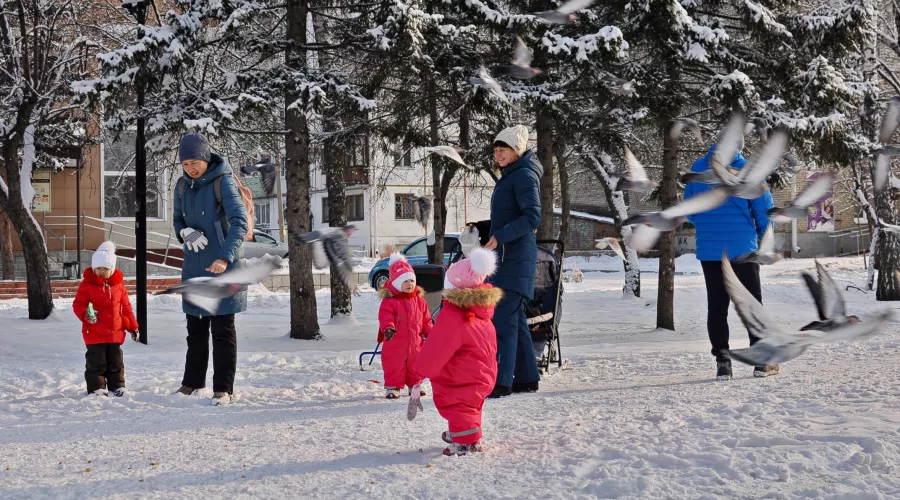 морозы, площадь 9 января, дети, родители, прогулка
