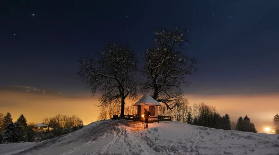 Яркий звездопад смогут увидеть жители Алтайского края перед Новым годом