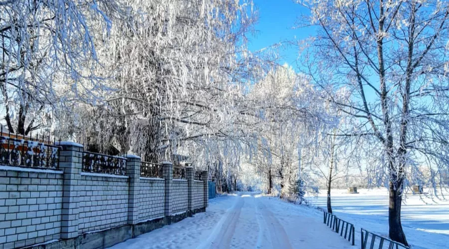 Деревья в серебре: бийчане восхищаются городом, покрытым изморозью