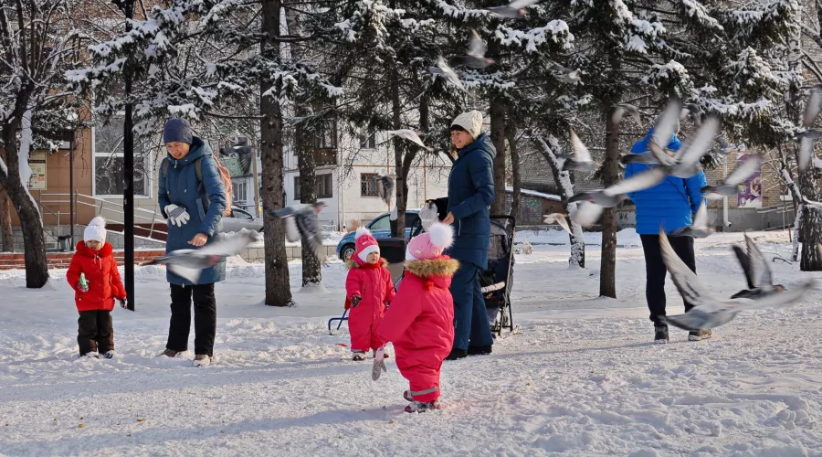 Около 22% населения Алтайского края имеет иммунитет к коронавирусу