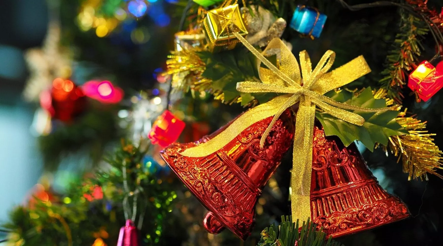 Пусть сбудутся мечты: бийчан поздравляют с наступающим Новым годом 