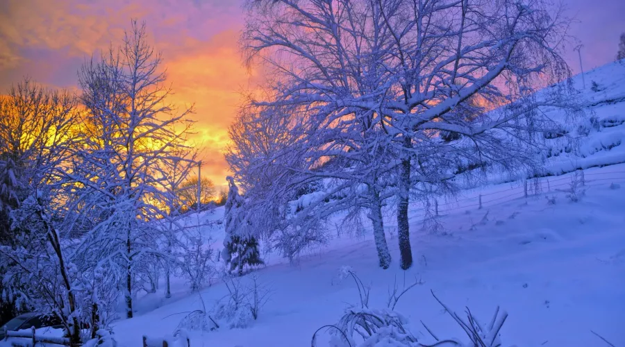 Алтайские синоптики дали прогноз на январь и рассказали о «рекордах» декабря