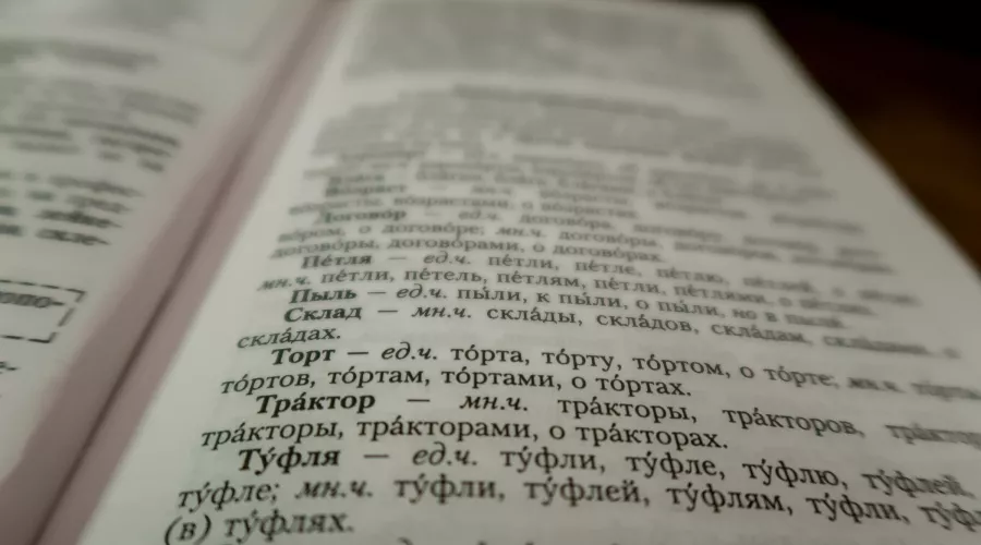 Звони и «ехай»: филологи отмечают интересные трансформации в русском языке