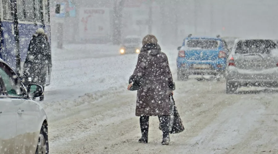 Снежный шторм и усиление ветра ожидаются в Алтайском крае 17 января 