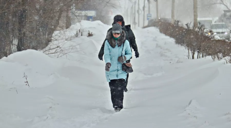 В Алтайский край с 21 января вернутся снег и метели 