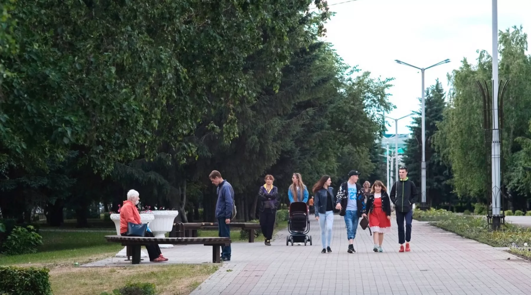 Для каждого муниципалитета Алтайского края создадут рекомендации по озеленению