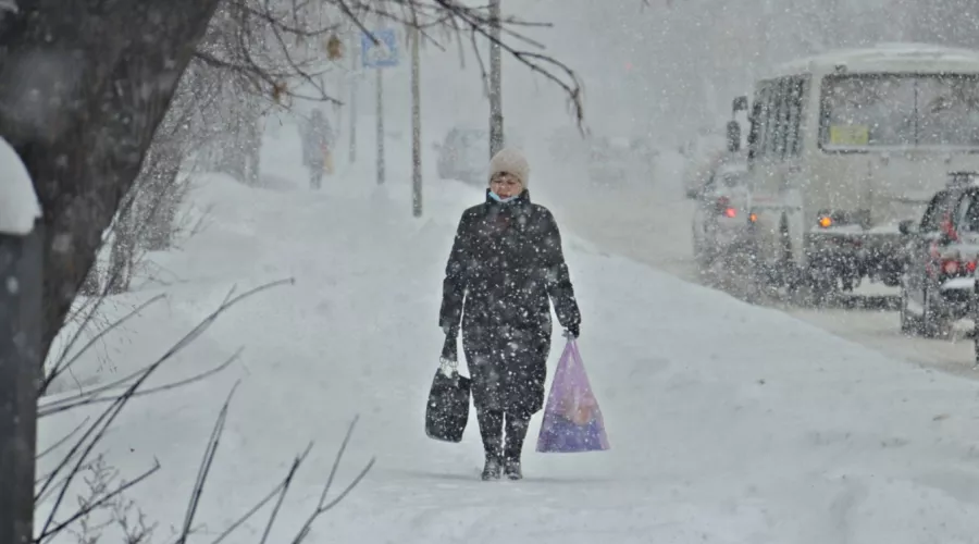 Снег с дождём, метель и гололёд: на Алтайский край надвигается снежный шторм 