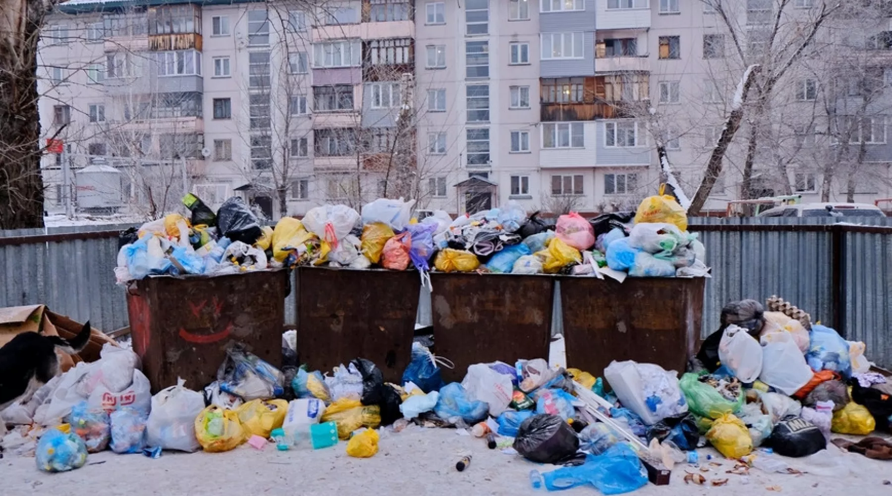 В Бийске, заваленном мусором, до сих пор не удается наладить его переработку