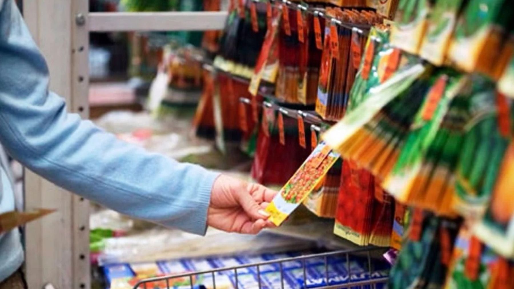 Экономисты предрекают интерес к СБП прежде всего малого и среднего бизнеса.