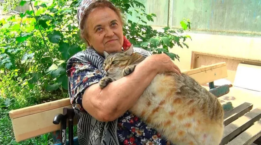 Самый толстый кот из Бийска лечил хозяйку от коронавируса