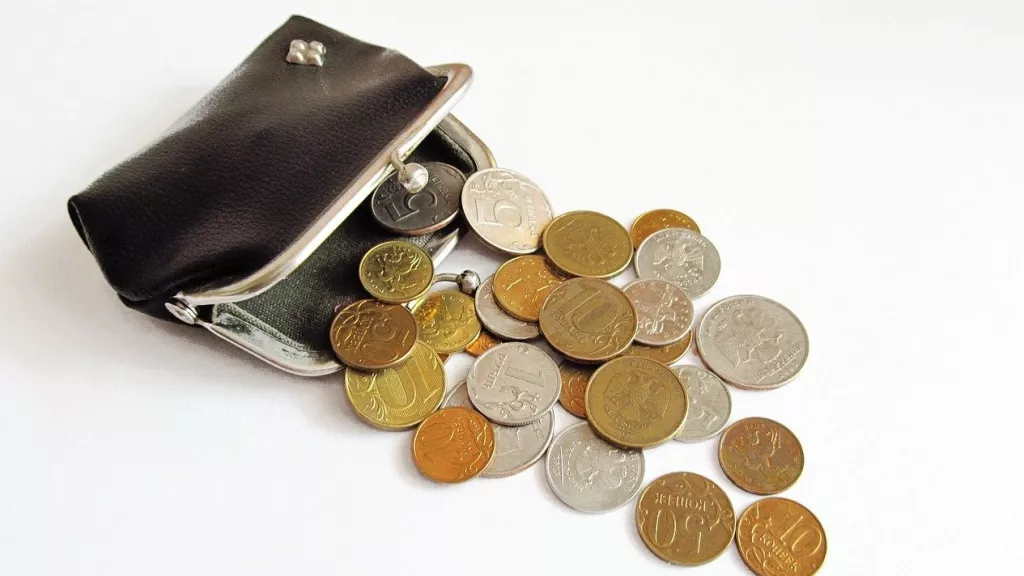 МРОТ в Алтайском крае могут поднять выше 28 тысяч рублей - Информационный портал "Бийский рабочий", 12.11.2025