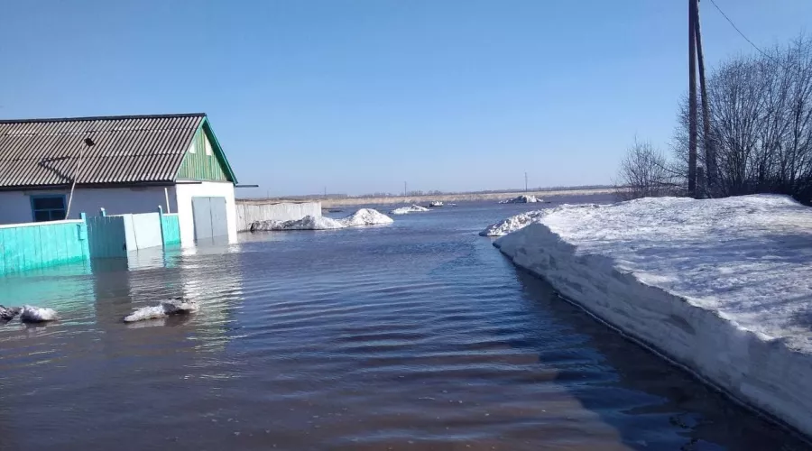 Паводковые воды подтопили 15 населенных пунктов в Алтайском крае 