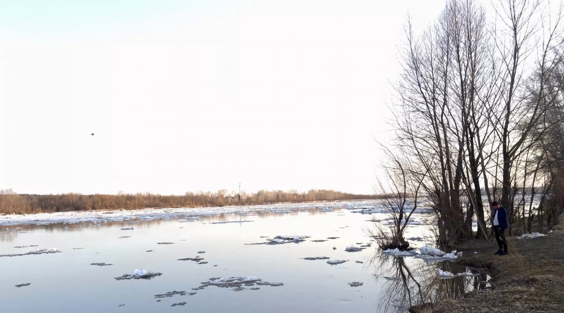 Треск и журчание воды: на Бии в районе Бийска начался ледоход