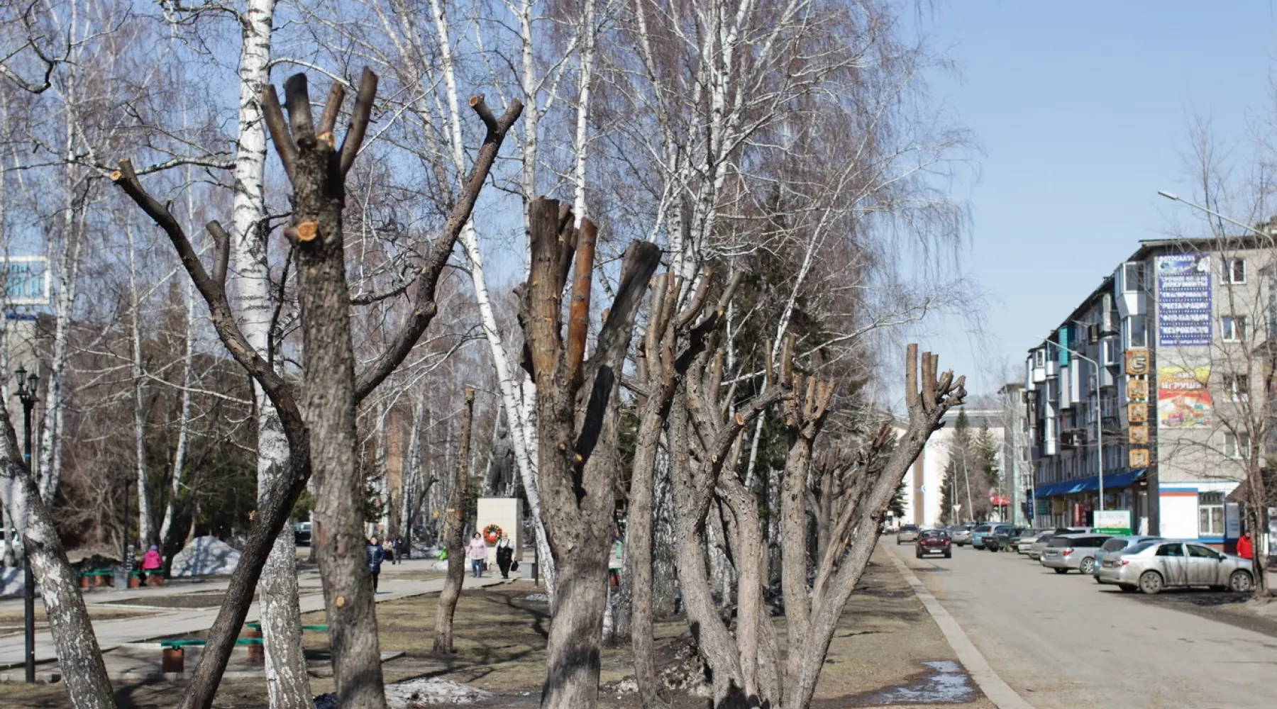 Обрезка деревьев.