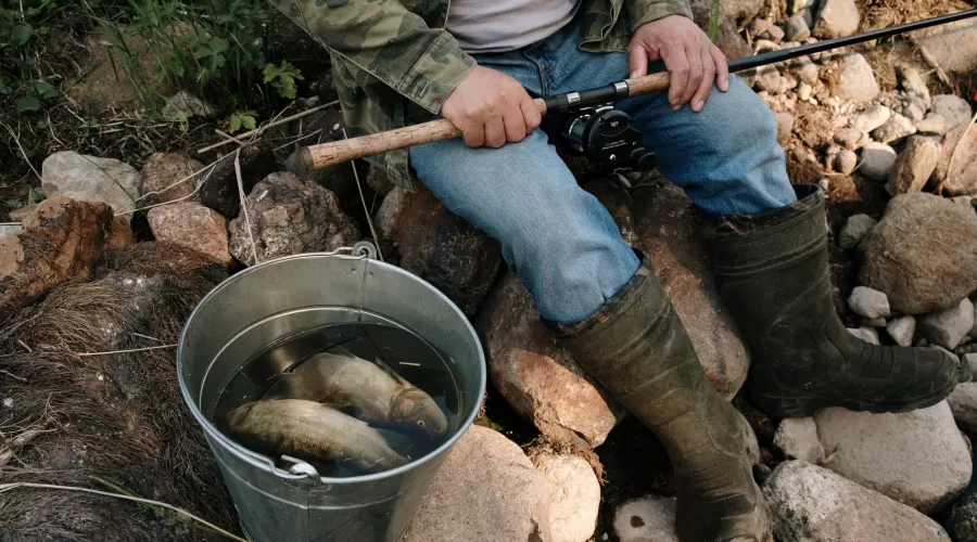 В Алтайском крае введены ограничения на рыбалку