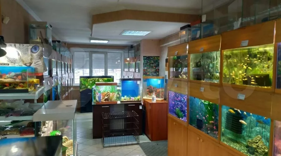 В Бийске продают зоомагазин прямо с рыбками