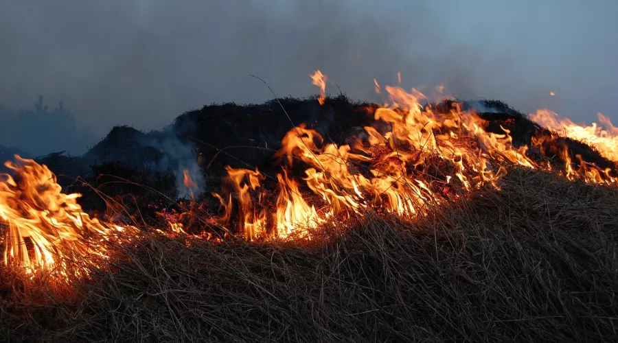 Штормовое предупреждение из-за пожароопасности на Алтае продлили до 30 апреля 