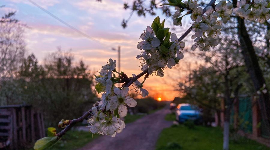 Фото майских праздников на даче