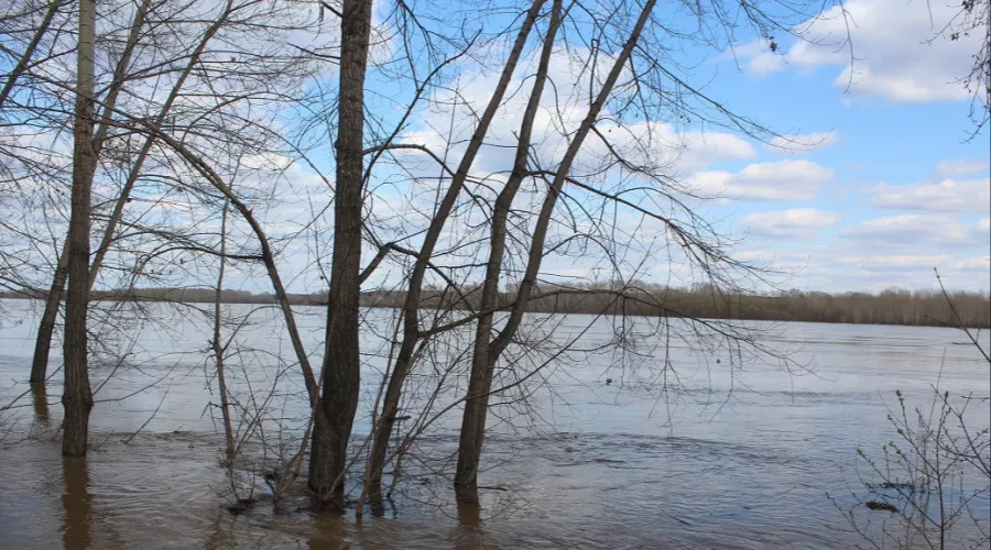 Алтайские синоптики предупредили о подъеме воды в реке Обь 