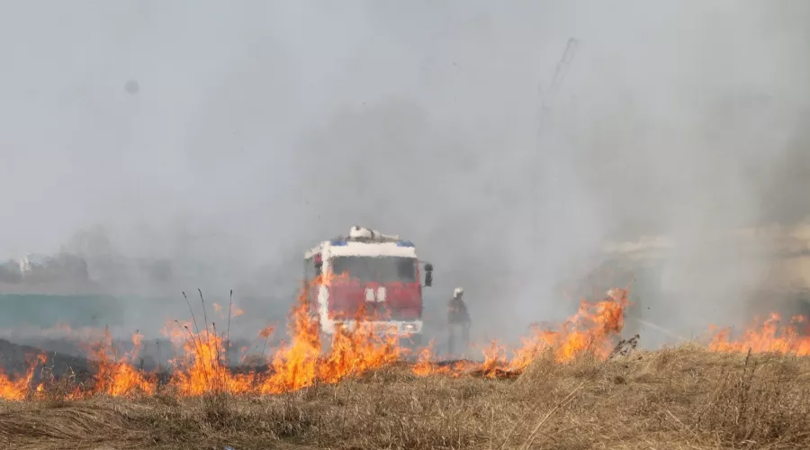 Из-за ветра и костров: в Алтайском крае за сутки произошло более ста пожаров