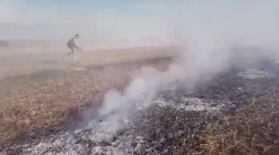 В Алтайском крае инспекторы поймали поджигателя травы