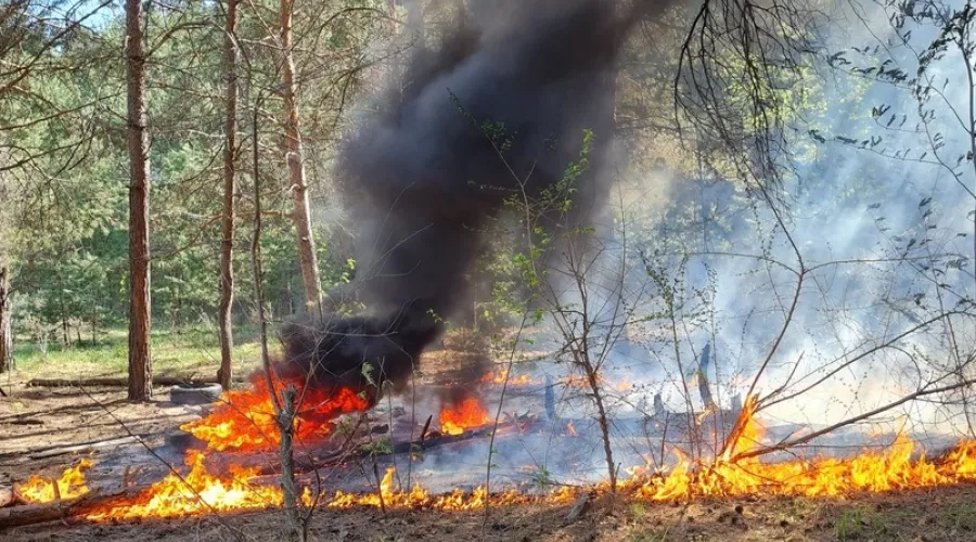 В Бийске тушили возгорание в лесной зоне квартала АБ 