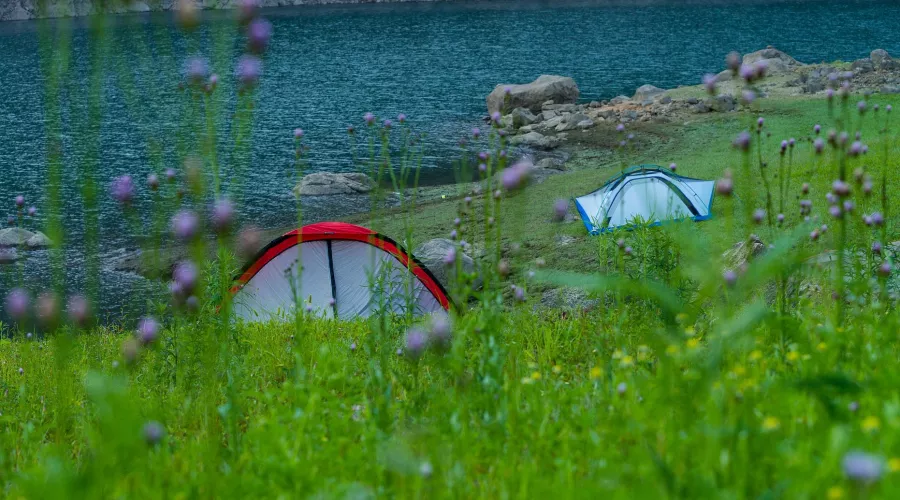 Власти Алтайского края назвали пять мест, где лучше отдохнуть с палатками 