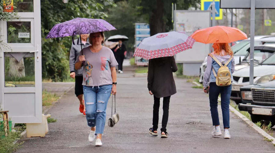 Синоптики предрекли Алтайскому краю дождливые июнь и июль