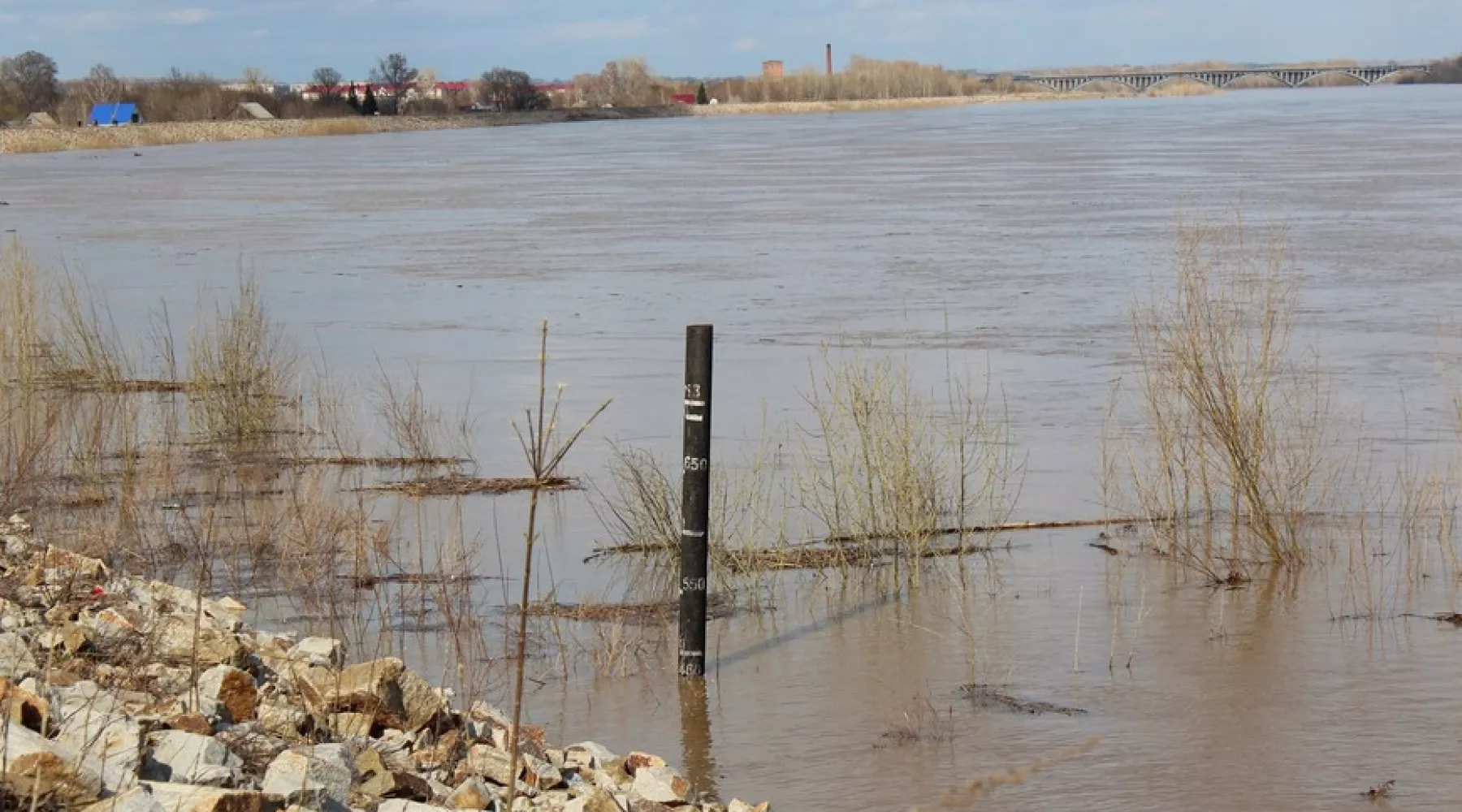 Вода в Бии поднялась после дождей, в следующие сутки подъём продолжится 