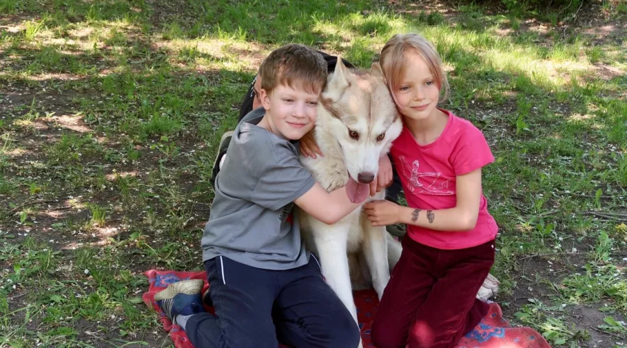 Добрые псы: в Бийске прошла акция в помощь бездомным животным