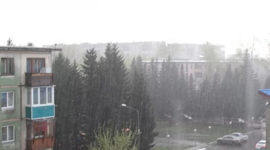 Жителей Алтайского края предупредили о сильном штормовом ветре 27 и 28 мая