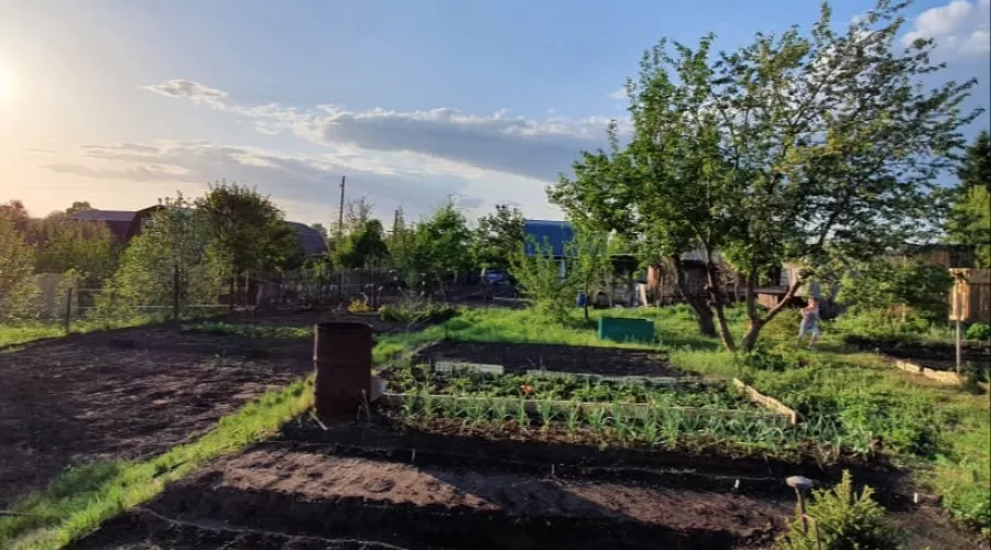 В России создадут правительственную комиссию по садоводческим товариществам