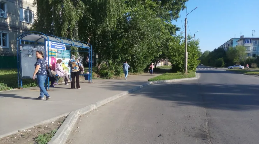 Из кустов: жители района Треста рискуют здоровьем, чтобы попасть в автобус 