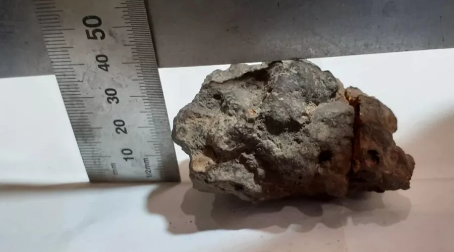 В Бийске продают метеорит, в котором искали драгоценные металлы