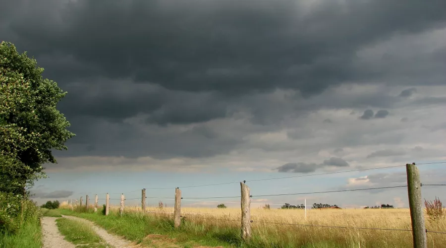 Шквалистый ветер, грозы и град: 21 июня Алтайский край вновь ждет непогода