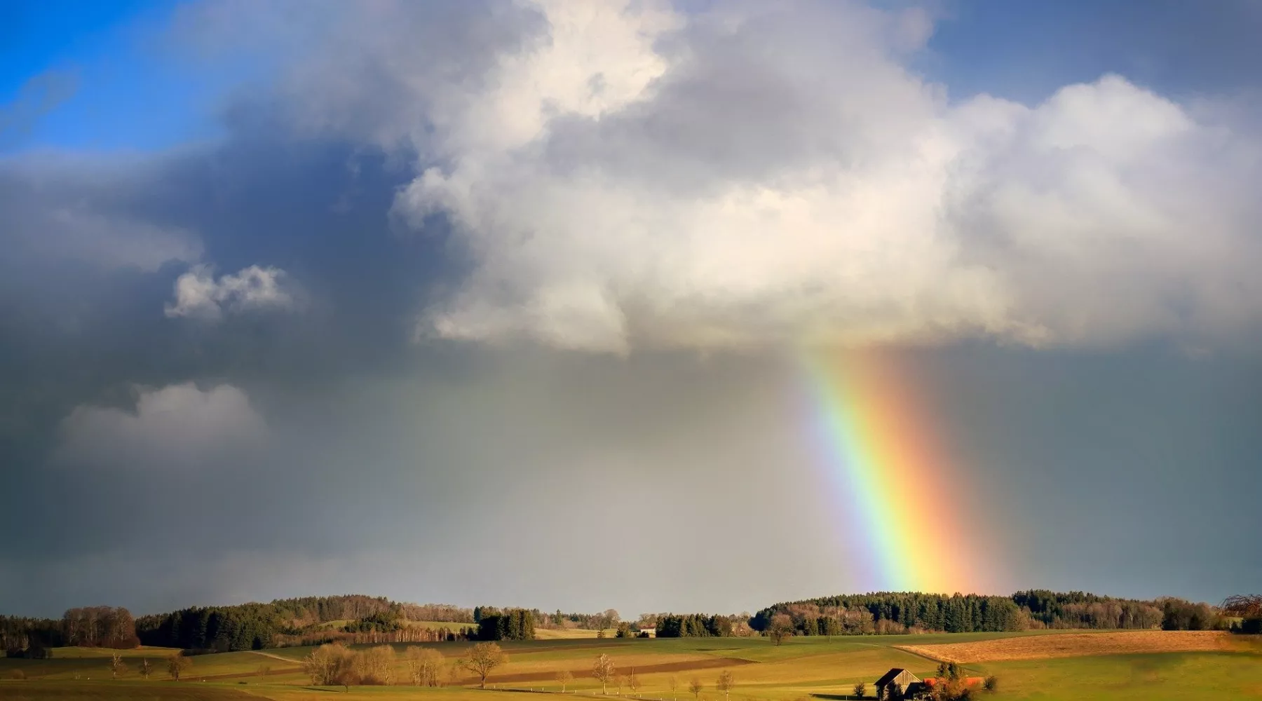 Знамения Тимофея: что можно и нельзя делать по приметам 23 июня 