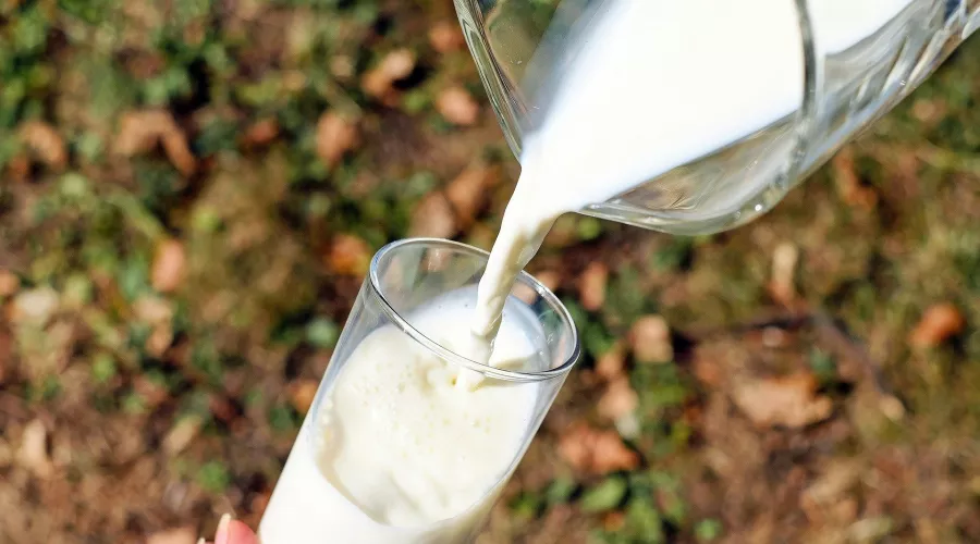 Маркировка молочной продукции оказалась проблемой для алтайских производителей