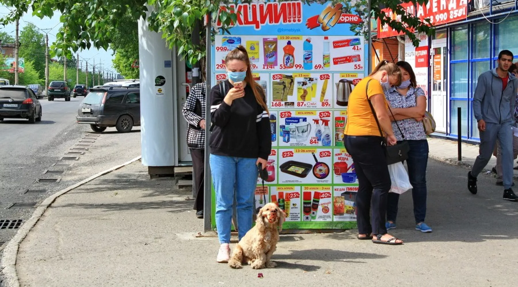 Дорогая собака! Бийчане делятся мнениями, нужен ли налог на животных