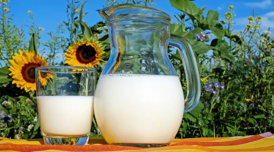 Уголовное дело против производителя молока из Бийска направили в суд