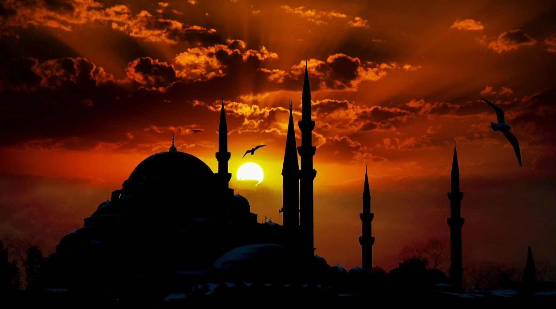 Турция. Мечеть.