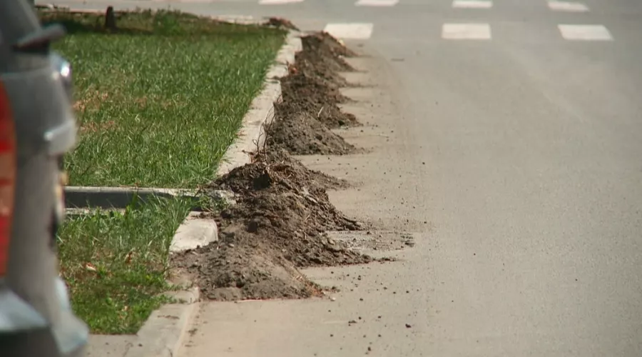 Жители Бийска просят убрать «муравейники» вдоль дорог в жилых кварталах 