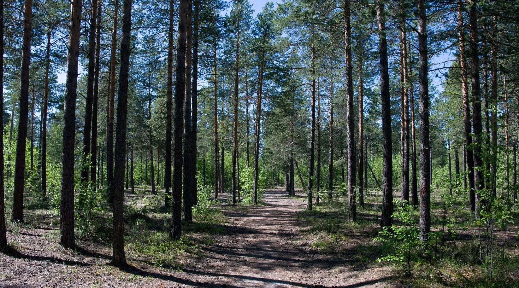 В Бийском районе в розыск объявлена девочка, уехавшая на велосипеде