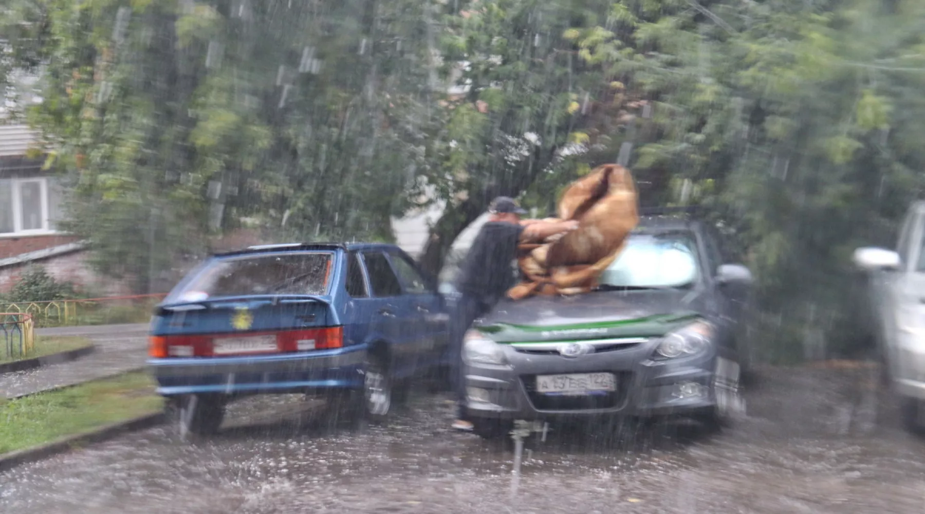 Штормовое предупреждение: 10 августа в Алтайском крае ожидаются ливни и град