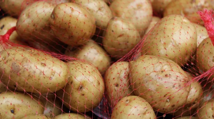 Молодая, золотистая: в Роскачестве объяснили, как правильно выбирать картошку