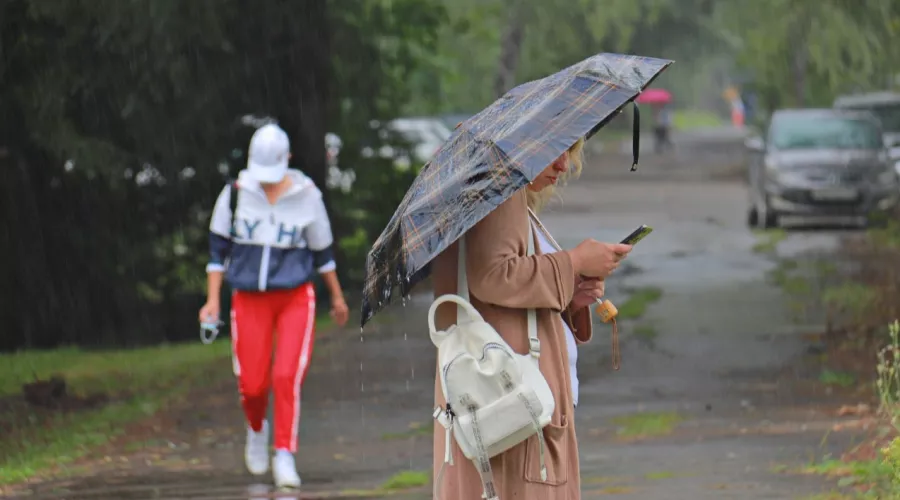 Ветер северный: прохладная дождливая погода будет в Бийске 14 августа 