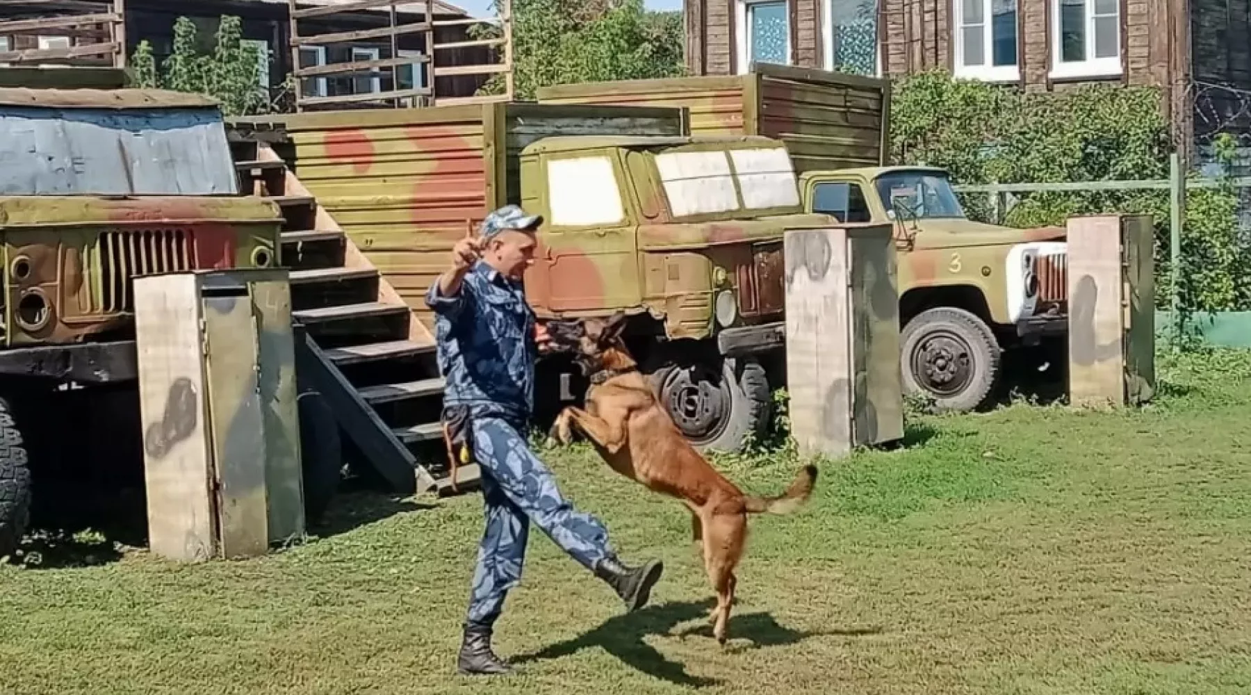 Бийский кинолог рассказал, как искали следы пропавшей девочки 