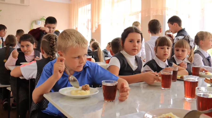 В школах Алтайского края введут специальное меню для аллергиков и диабетиков