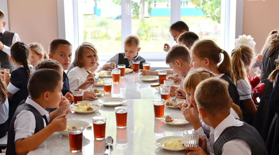 Обед – по расписанию: как накормить школьника полезно и вкусно