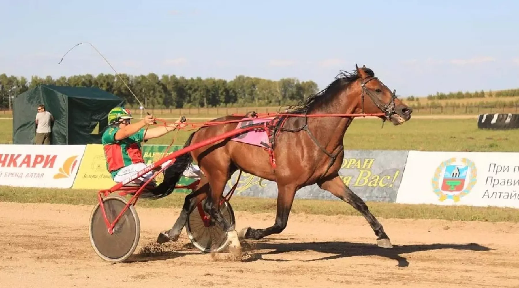 Лучшие лошади Сибири стали участниками скачек «Большого Сибирского круга»