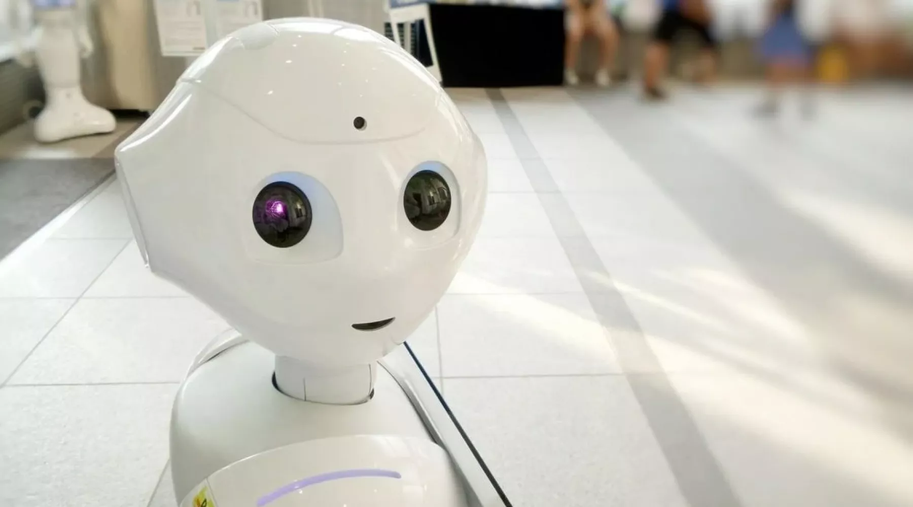 В школах Сибири могут появиться роботы-учителя 